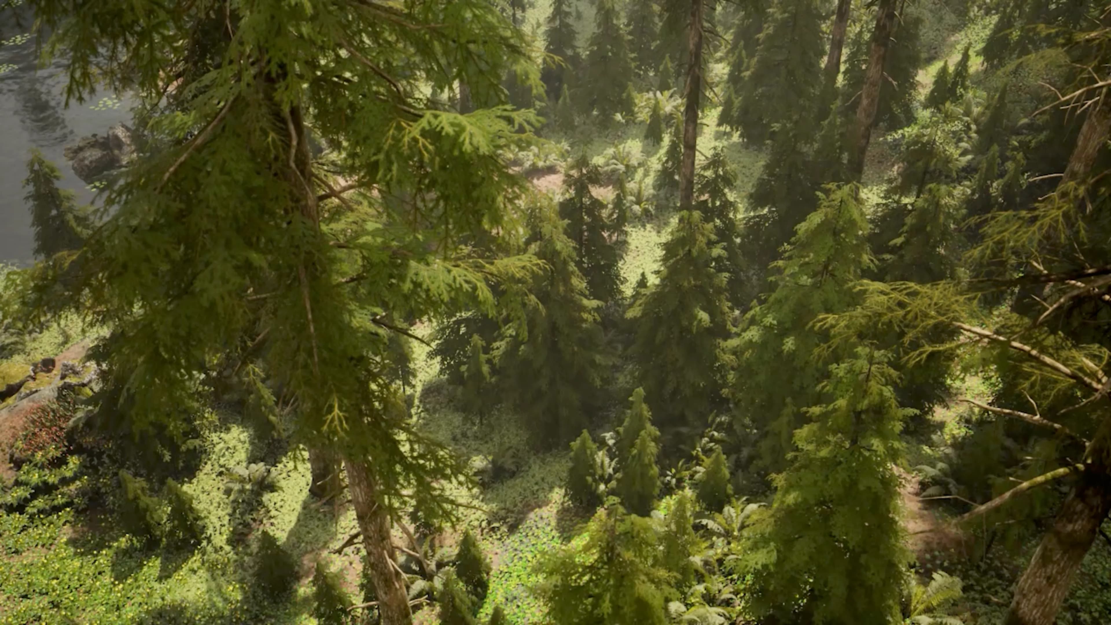 nwiro background