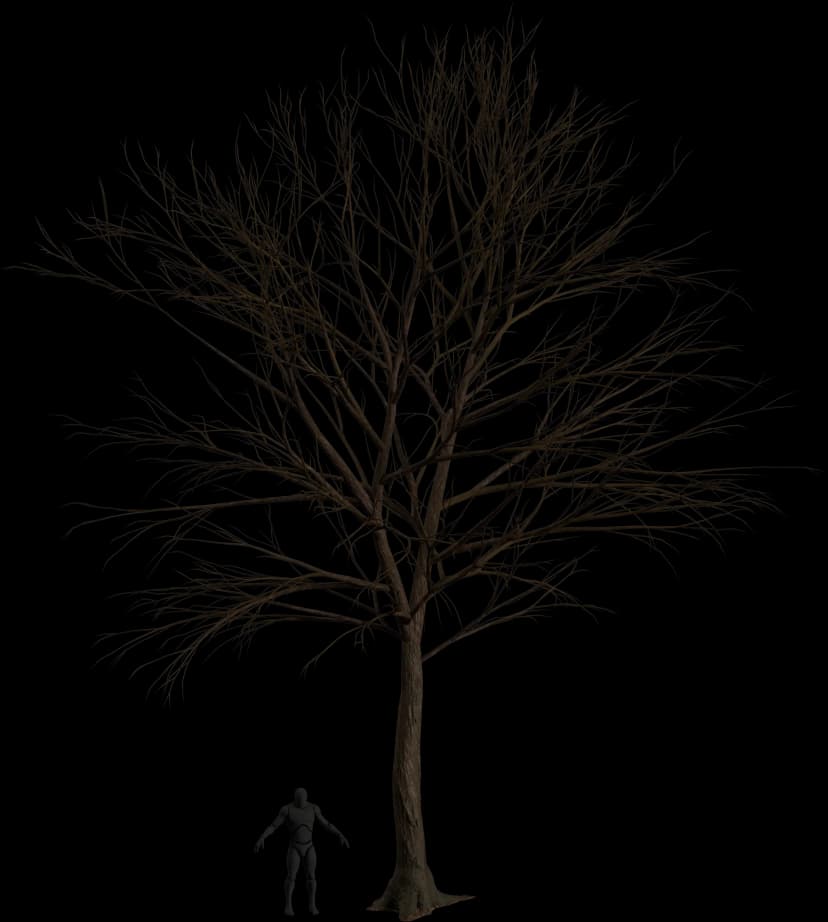 Dead Ash Tree