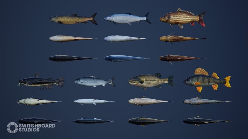 Freshwater Fish pack with animations