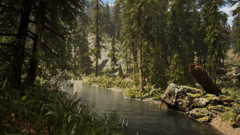Hemlock Forest