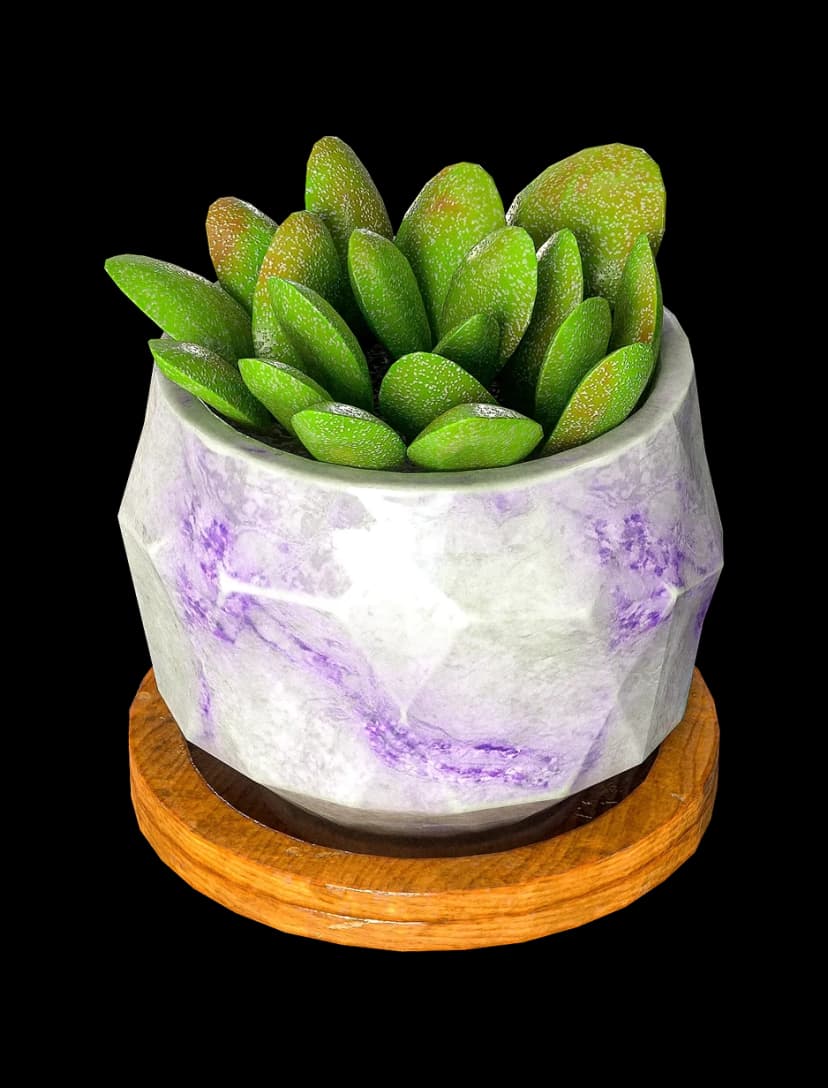 Flower Pot