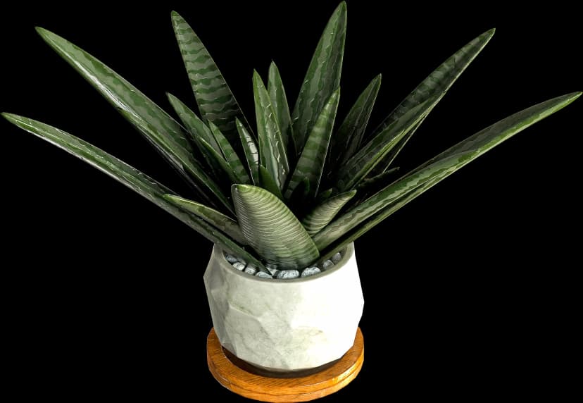 Flower Pot