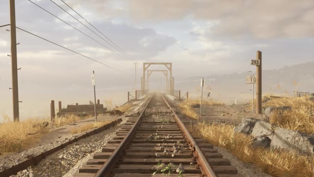Coastal Wetland & Railroad Bridge