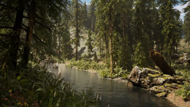 Hemlock Forest Environment