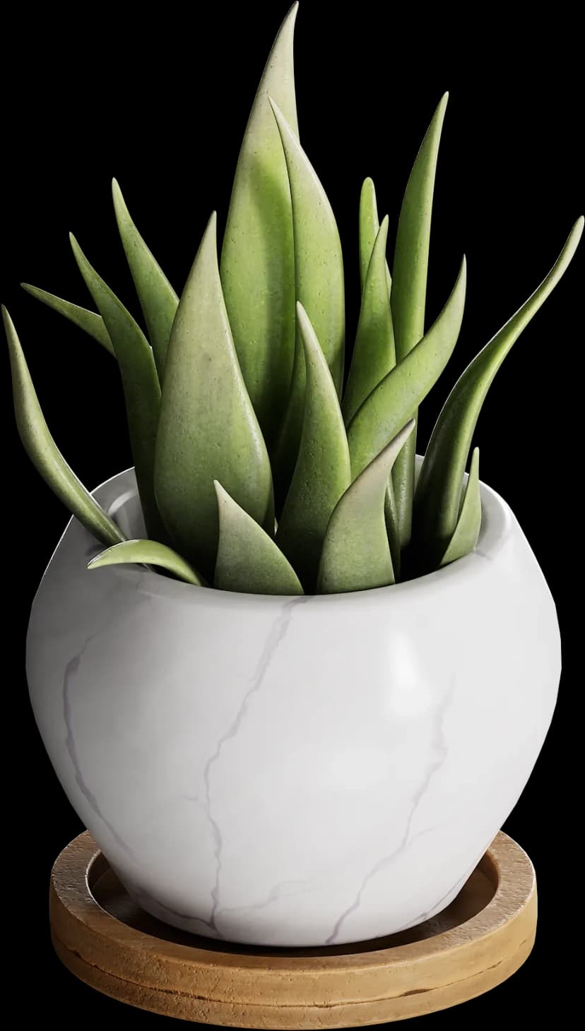 Flower Pot