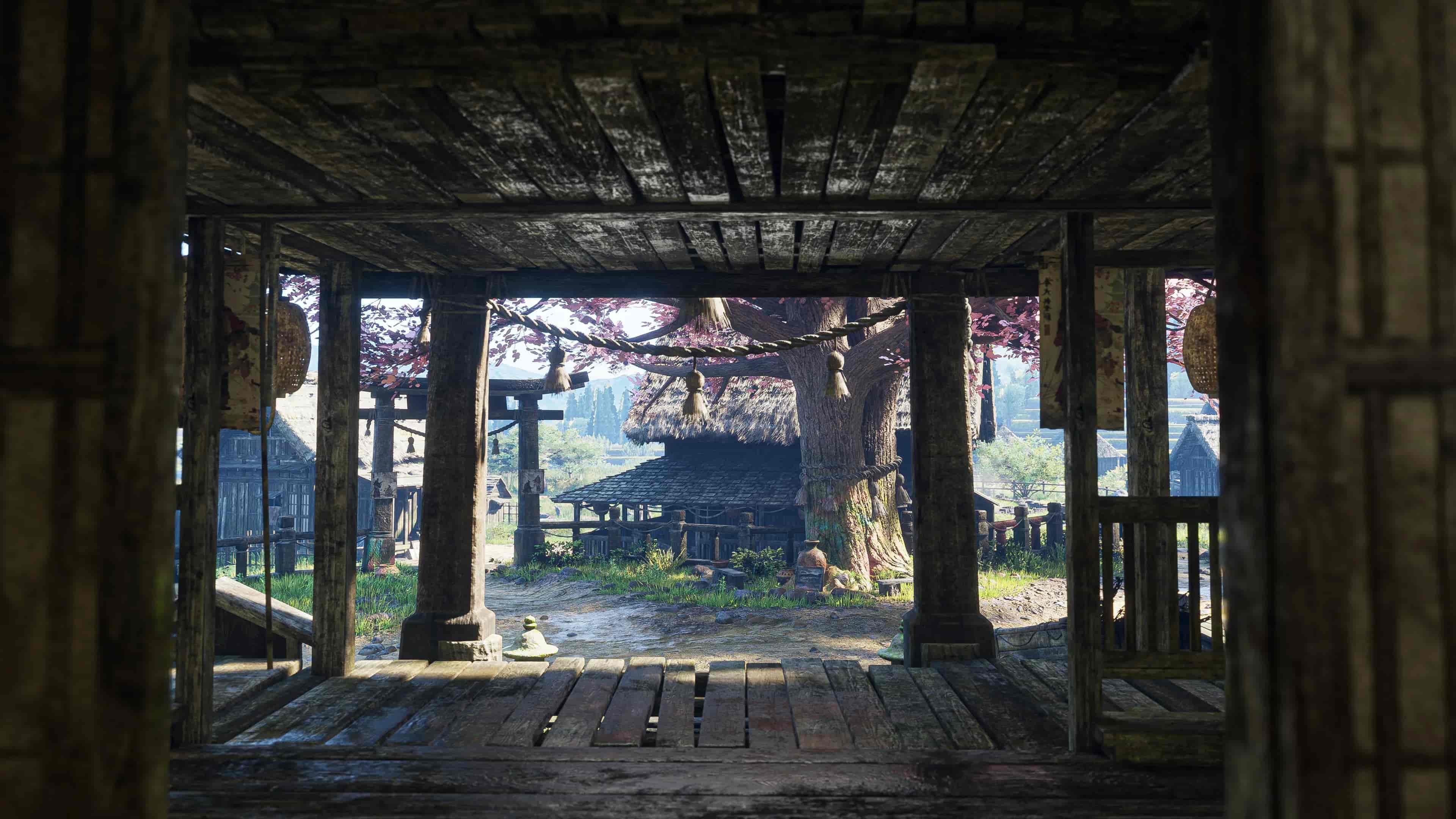 Image 9