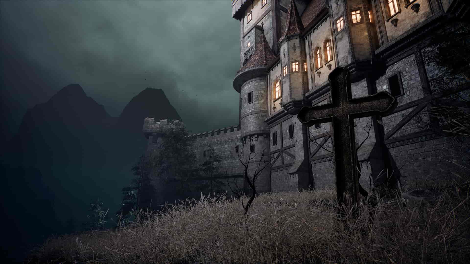 Image 7