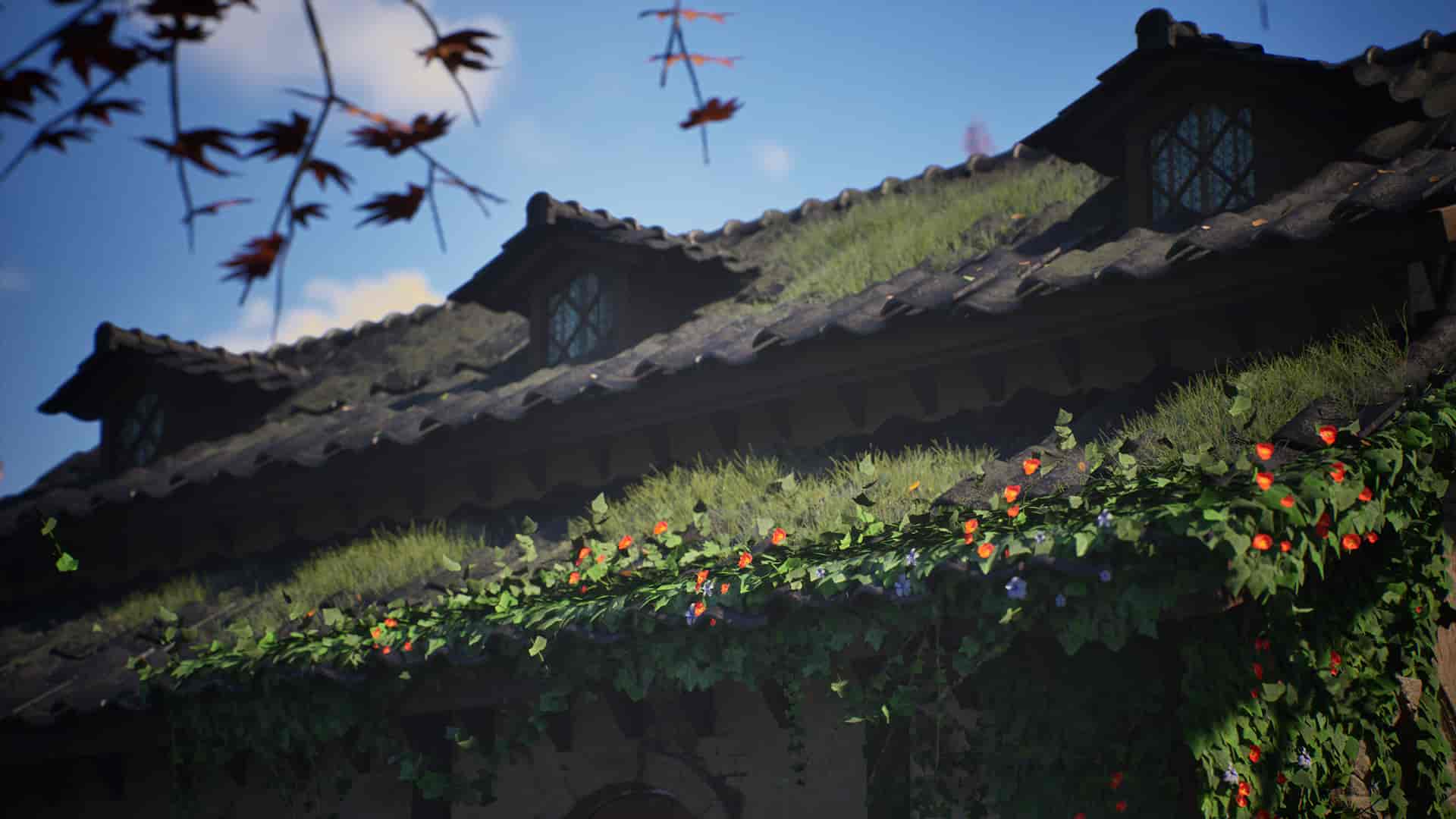Image 14