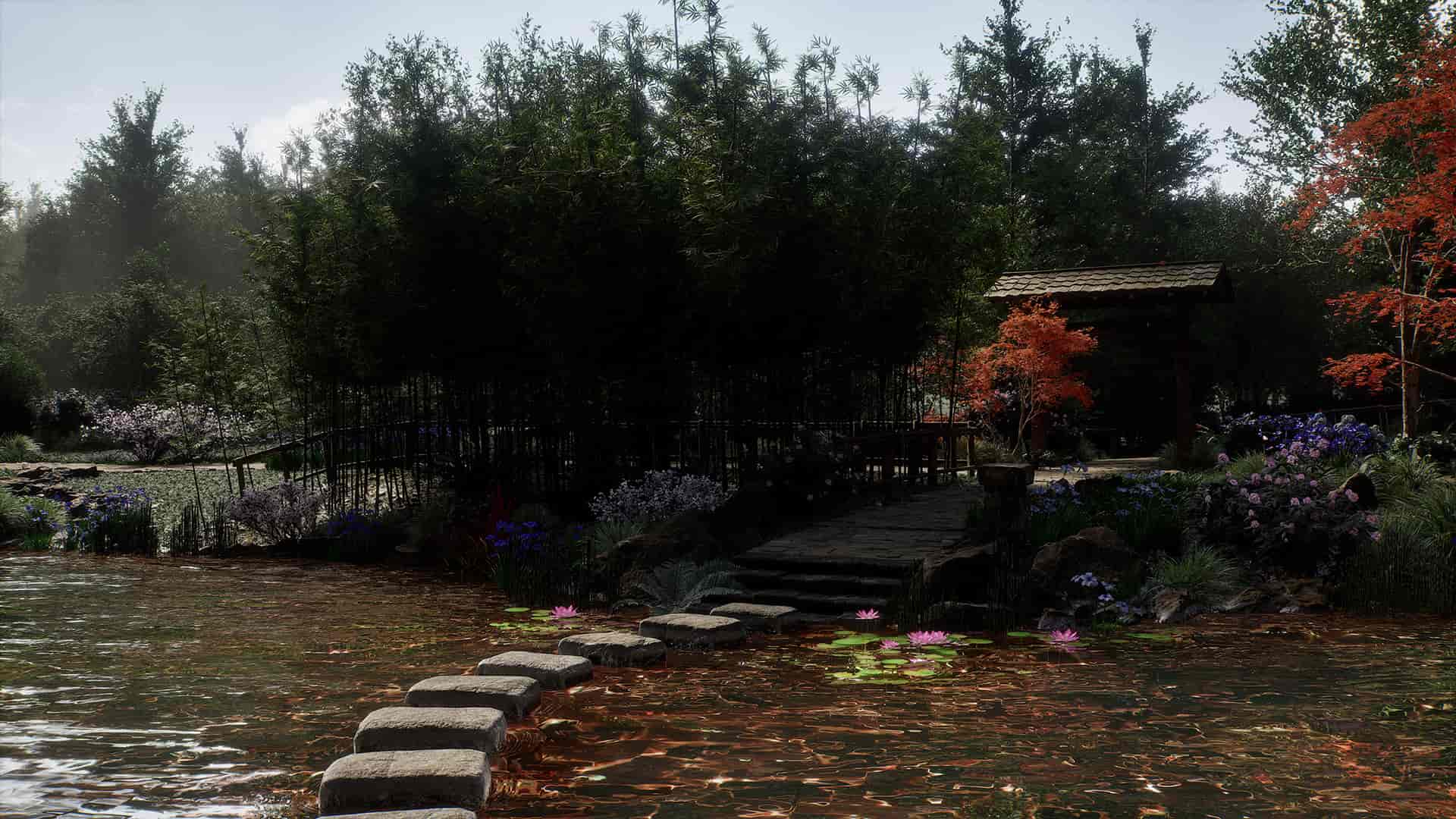 Image 23