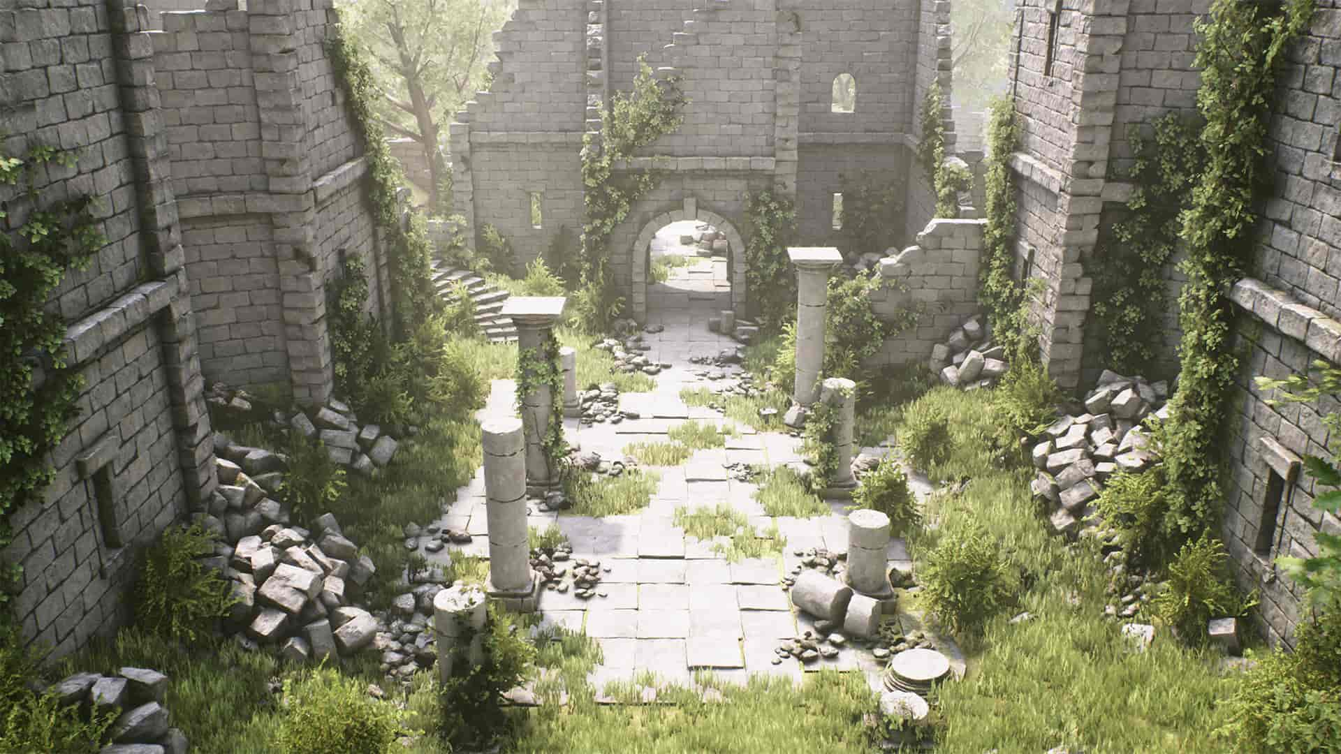 Image 11