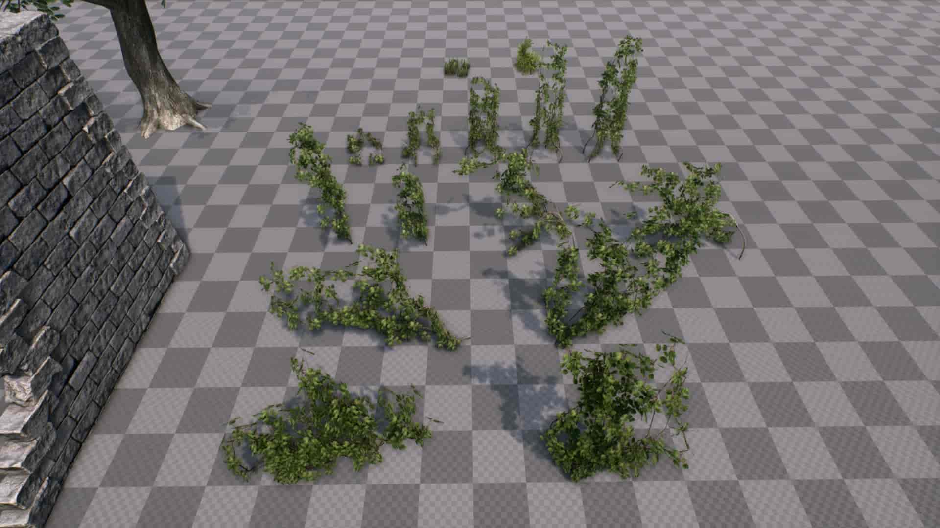 Image 15