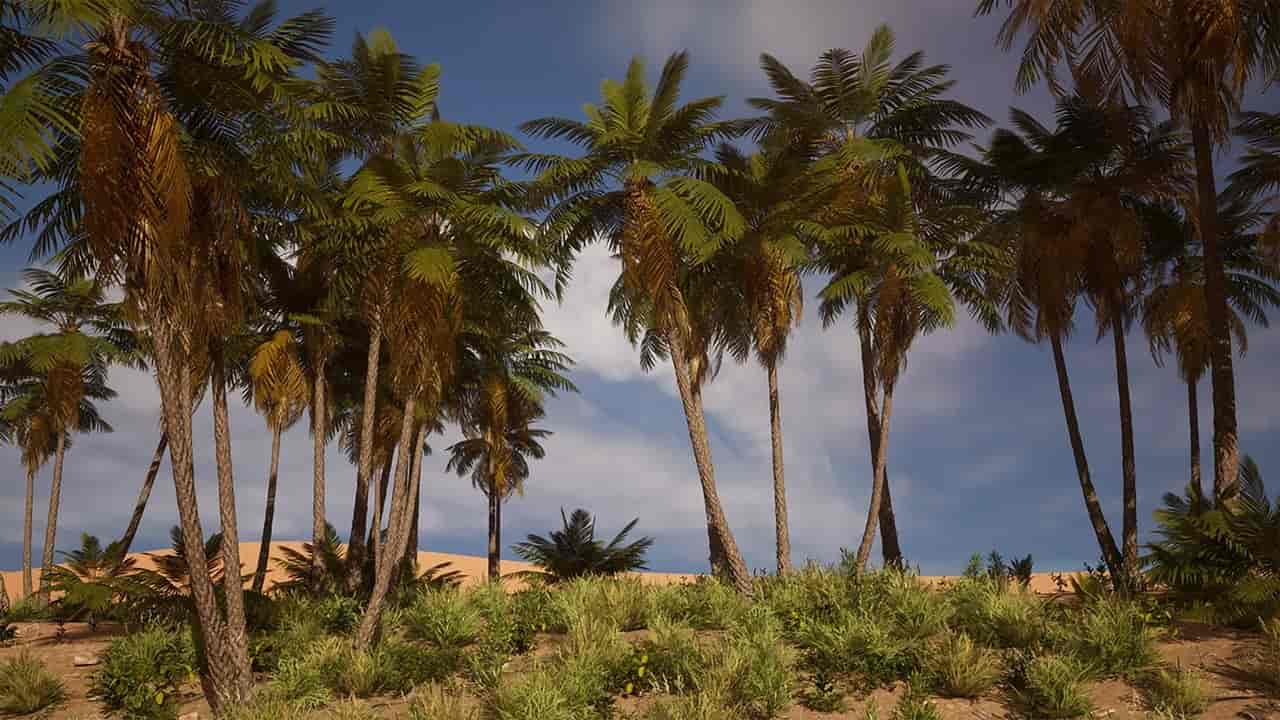 Image 17